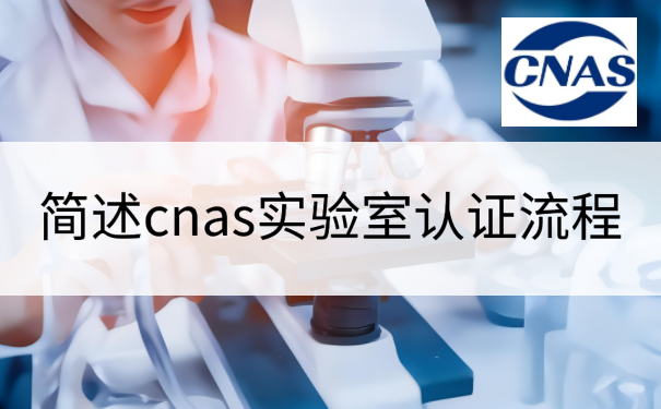 简述cnas实验室认证流程