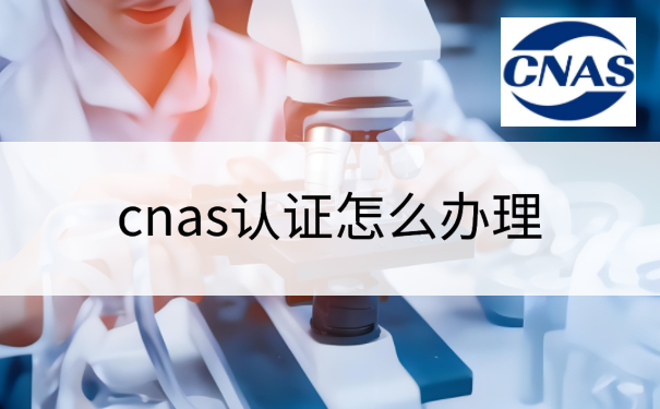 cnas认证怎么办理