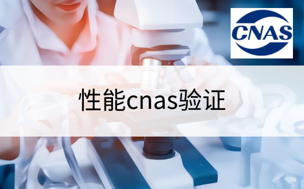 性能cnas验证